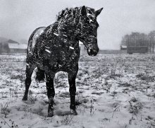 First snow / ***