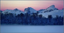 Arctic / ***