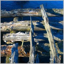 Bridge near the old mill / ***