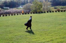 times the set tsenem / ***