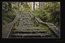 Abandoned stairs / ***