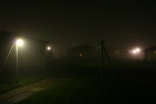 Fog / ***