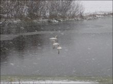 Colder / ***