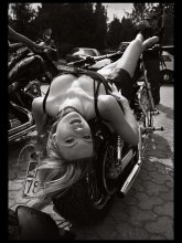 Harleylll / ***