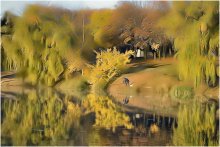 Gold Fishing / ***