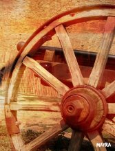 wheel / ***
