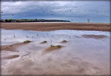 when fall comes to the beach / ***