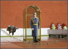 Imperial Standard 2 / ***