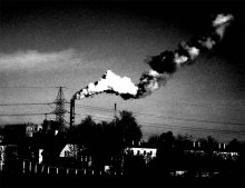 Urbanization / ***