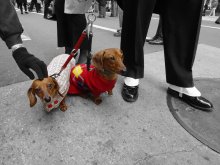 5 Avenue. New York. Easter Sunday. / ***
