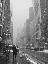 New York weather / ***