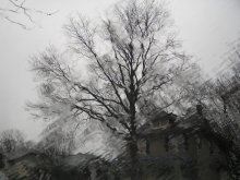 Rain in January / ***