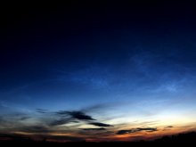 Leaves per day / ***