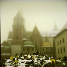 Streets of Krakow - I / Rolleiflex 2.8F