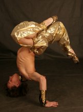 Stunt Man / ***