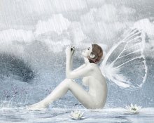 fairy rain / ***