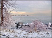 waited Toronto winter / ***