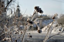Winter came ... / ***