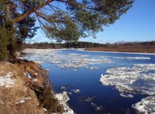 January on the Neman / ***