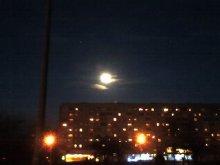 winter moon / ***