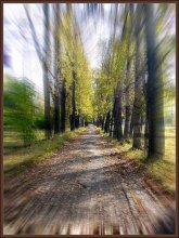 The road to autumn / ***