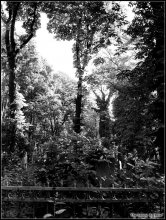 Hand of death? / ***