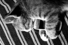 NOKIA is always with me! / ***