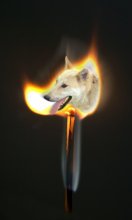 Good fire dog. / ***
