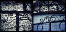 Part of the neighbor's house / Rolleiflex 2.8 F
