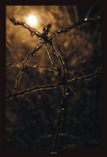 run to you ... / ***