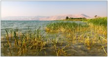 Lake Kinneret / ***