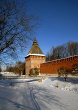 Smolensk and its surroundings 33 ... Kopytinkaya tower ... winter. / ***