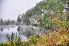 Fog on the lake in the woods / ***