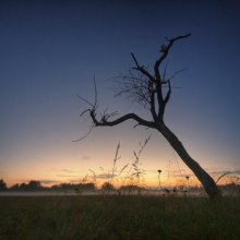 | Meadow at sunset | / ***