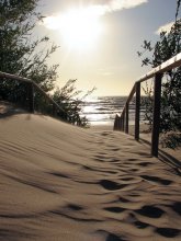 Baltic dune / ***