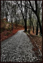 That Autumn has come .... / ***