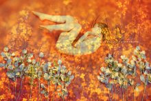 Coloured Dreams ... # 0831 / ***