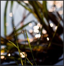 At the river ... / ***