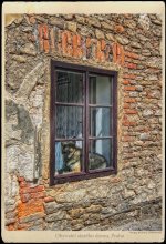 A resident of an old house / ***