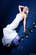 [moonlight bride] / ..............