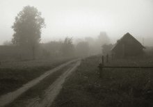 fog in the morning in the village / ***