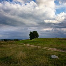 landscape with stone / ________________