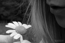 Likes - dislikes / ***