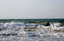 In the embrace of the waves / ***