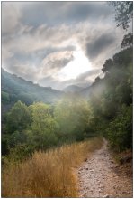 In the mountains of Galilee / ***