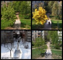 Summer, Fall, Winter, Spring and Summer again =) / ***