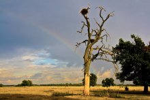 Rainbow at Sunset / ***