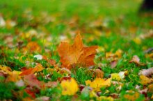 Whirlpool autumn / *******