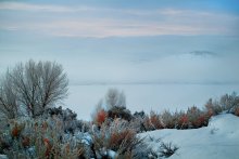 snow and mist / ***