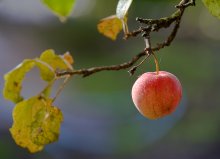 In the sun ... / .......